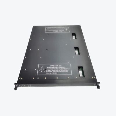Le THERMOCOUPLE de TRICONEX 9766-510 A ENTRÉ le module TERMINAL