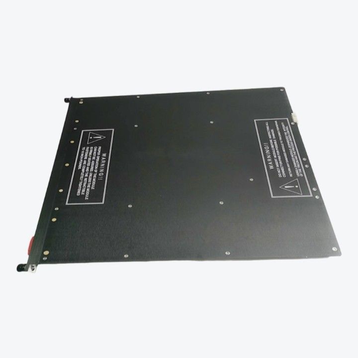 Industrie pétrolière et gazière Triconex Products 9786-110 Panneau d'entrée analogique